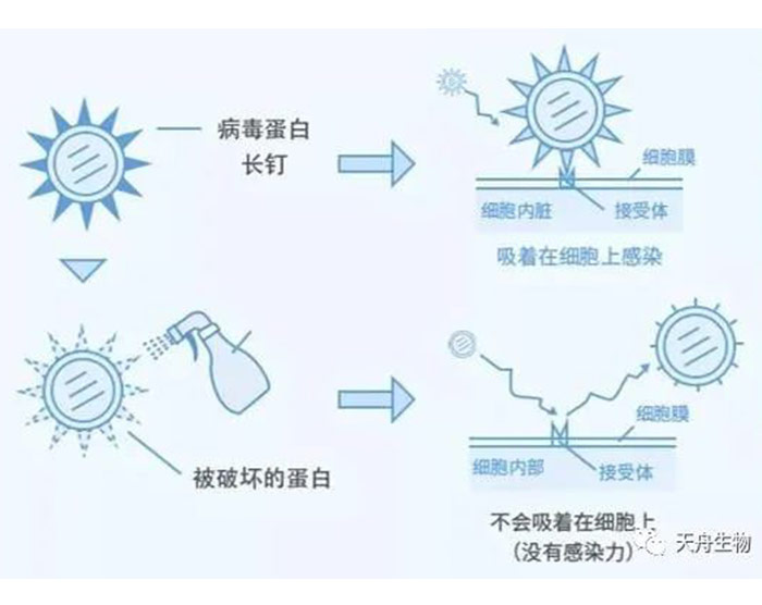 云顶集团.(yd)官网 | 首页_image3666