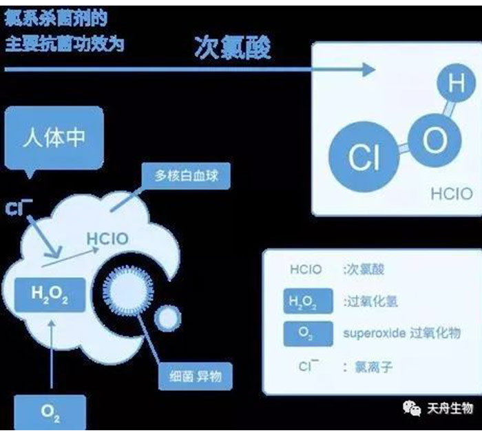 云顶集团.(yd)官网 | 首页_首页3274